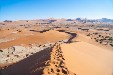 Namib Çölü Safarisi Namibya, Güney Afrika 'da kum tepecikli. Gün batımında doğal manzara. Ünlü turist eğlencesi. Büyük Kanyon 'da kum