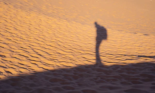 Turisták Sivatagi Szafarin Homokdűnével Namíbiában Dél Afrikában Természetes Táj Háttér — Stock Fotó