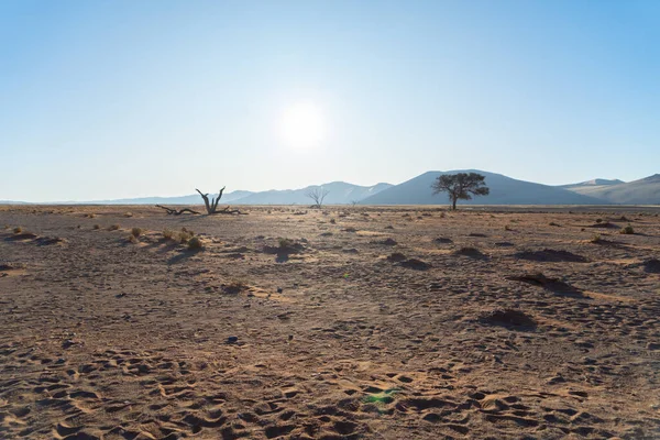 Wüstensafari Mit Sanddüne Namibia Südafrika Natürliche Landschaft Hintergrund Bei Sonnenuntergang — Stockfoto