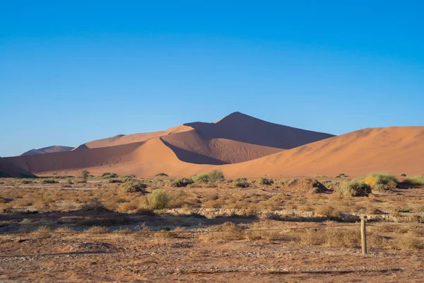 Namib Desert Safari Avec Dune Sable Namibie Afrique Sud Paysage — Photo