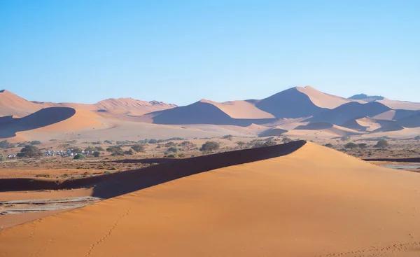 Namib Desert Safari Avec Dune Sable Namibie Afrique Sud Paysage — Photo