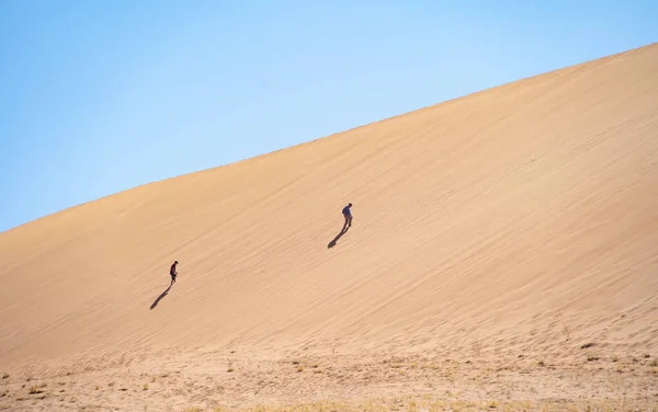 Namib Desert Safari Dengan Bukit Pasir Namibia Afrika Selatan Latar — Stok Foto