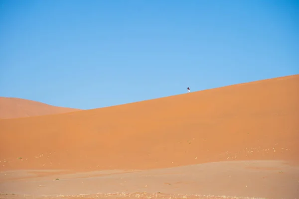 Namib Desert Safari Homokdűnével Namíbiában Dél Afrikában Természetes Táj Háttér — Stock Fotó