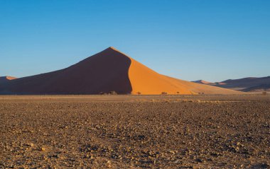 Namib Çölü Safarisi Namibya, Güney Afrika 'da kum tepecikli. Gün batımında doğal manzara. Ünlü turist eğlencesi. Büyük Kanyon 'da kum