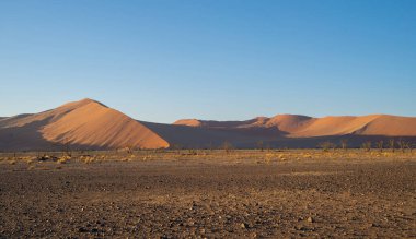 Namib Çölü Safarisi Namibya, Güney Afrika 'da kum tepecikli. Gün batımında doğal manzara. Ünlü turist eğlencesi. Büyük Kanyon 'da kum
