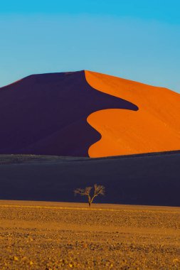 Namib Çölü Safarisi Namibya, Güney Afrika 'da kum tepecikli. Gün batımında doğal manzara. Ünlü turist eğlencesi. Büyük Kanyon 'da kum