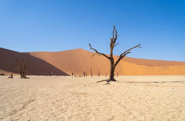 stock image Namib Desert Safari with sand dune in Namibia, South Africa. Natural landscape background at sunset. Famous tourist attraction. Sand in Grand Canyon