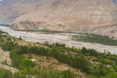 Karakoram yüksek dağ tepelerindeki orman ağaçları. Doğa manzarası geçmişi, Skardu-Gilgit, Pakistan. Tatilde seyahat.