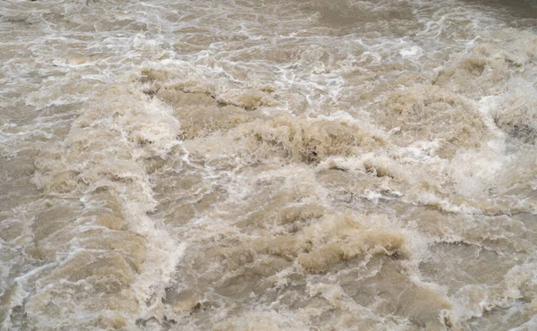 Agua Inundación Rápida Estanque Del Lago Selva Medio Ambiente Recursos —  Fotos de Stock