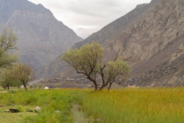 Karakoram yüksek dağ tepeleri. Doğa manzarası geçmişi, Skardu-Gilgit, Pakistan. Tatilde seyahat.