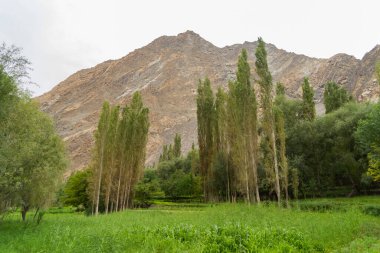Karakoram yüksek dağ tepeleri. Doğa manzarası geçmişi, Skardu-Gilgit, Pakistan. Tatilde seyahat.