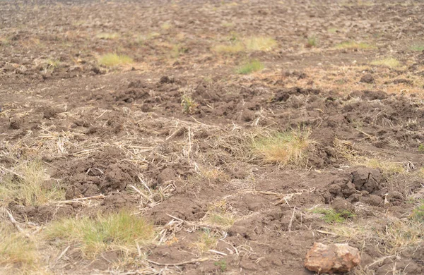 水田の土地の乾燥草 深刻な水不足と干ばつ不毛の乾燥パターンのテクスチャの背景 — ストック写真