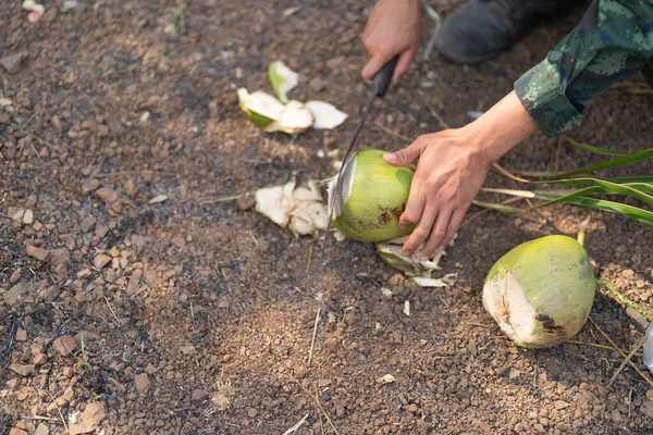 Soldier eating coconut. Wild food. Variety of colorful fresh fruits and vegetables. Raw organic healthy food in forest.