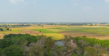 Taze çeltik pirincinin havadan görünüşü, Asya 'nın kırsal ya da kırsal kesimindeki yeşil tarım alanı. Doğa manzarası arka planı.