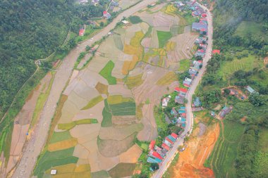 Mu Cang Chai şehrinin taze çeltik pirinçleri, kırsal ve kırsal alanlarda yeşil tarım alanları, Asya 'daki dağ tepeleri vadisi, Vietnam. Doğa manzarası arka planı.