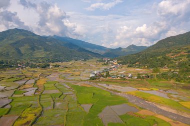 Taze çeltik pirinç teraslarının havadan görünüşü, Mu Cang Chai 'nin kırsal ya da kırsal kesimindeki yeşil tarım alanları, Asya' daki dağ tepeleri vadisi, Vietnam. Doğa manzarası arka planı.