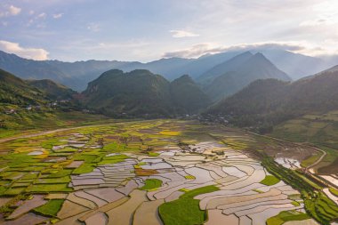 Taze çeltik pirinç teraslarının havadan görünüşü, Mu Cang Chai 'nin kırsal ya da kırsal kesimindeki yeşil tarım alanları, Asya' daki dağ tepeleri vadisi, Vietnam. Doğa manzarası arka planı.