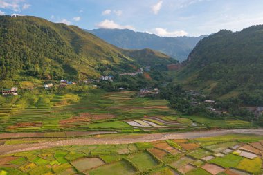 Taze çeltik pirinç teraslarının havadan görünüşü, Mu Cang Chai 'nin kırsal ya da kırsal kesimindeki yeşil tarım alanları, Asya' daki dağ tepeleri vadisi, Vietnam. Doğa manzarası arka planı.