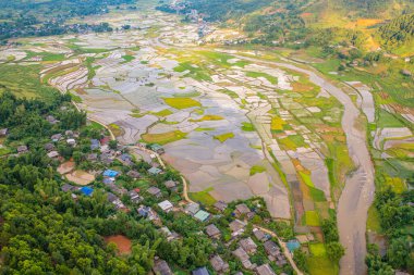 Taze çeltik pirinç teraslarının havadan görünüşü, Mu Cang Chai 'nin kırsal ya da kırsal kesimindeki yeşil tarım alanları, Asya' daki dağ tepeleri vadisi, Vietnam. Doğa manzarası arka planı.