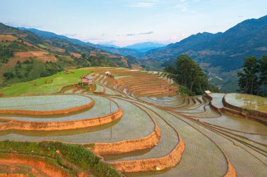 Taze çeltik pirinç teraslarının havadan görünüşü, Mu Cang Chai 'nin kırsal ya da kırsal kesimindeki yeşil tarım alanları, Asya' daki dağ tepeleri vadisi, Vietnam. Doğa manzarası arka planı.