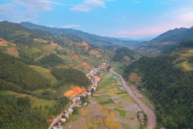 Taze çeltik pirinç teraslarının havadan görünüşü, Mu Cang Chai 'nin kırsal ya da kırsal kesimindeki yeşil tarım alanları, Asya' daki dağ tepeleri vadisi, Vietnam. Doğa manzarası arka planı.
