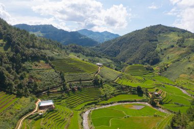 Taze çeltik pirinç teraslarının havadan görünüşü, Mu Cang Chai 'nin kırsal ya da kırsal kesimindeki yeşil tarım alanları, Asya' daki dağ tepeleri vadisi, Vietnam. Doğa manzarası arka planı.