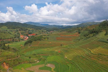 Taze çeltik pirinç teraslarının havadan görünüşü, Mu Cang Chai 'nin kırsal ya da kırsal kesimindeki yeşil tarım alanları, Asya' daki dağ tepeleri vadisi, Vietnam. Doğa manzarası arka planı.