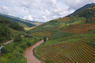 Taze çeltik pirinç teraslarının havadan görünüşü, Mu Cang Chai 'nin kırsal ya da kırsal kesimindeki yeşil tarım alanları, Asya' daki dağ tepeleri vadisi, Vietnam. Doğa manzarası arka planı.
