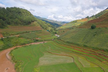 Taze çeltik pirinç teraslarının havadan görünüşü, Mu Cang Chai 'nin kırsal ya da kırsal kesimindeki yeşil tarım alanları, Asya' daki dağ tepeleri vadisi, Vietnam. Doğa manzarası arka planı.