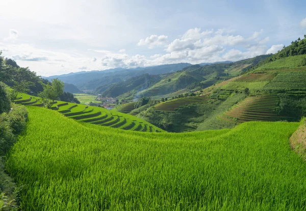 Taze çeltik pirinç teraslarının havadan görünüşü, Mu Cang Chai 'nin kırsal ya da kırsal kesimindeki yeşil tarım alanları, Asya' daki dağ tepeleri vadisi, Vietnam. Doğa manzarası arka planı.