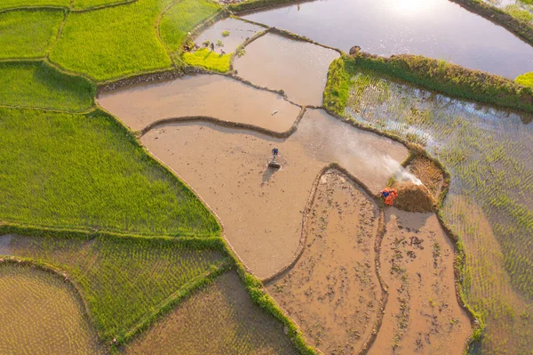 Aerial View Farmer Fresh Paddy Rice Terraces Green Agricultural Fields — Stock Photo, Image