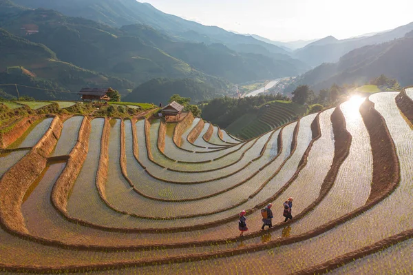 계단식논 시골이나 시골에 농경지 베트남 아시아의 지대인 차이의 지역을 공중에서 — 스톡 사진