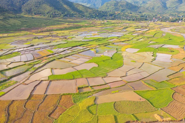 계단식논 시골이나 지역에 농경지 베트남 아시아의 지대인 차이의 공중에서 — 스톡 사진