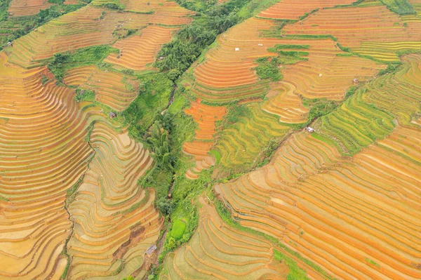 Верхний Вид Воздуха Свежие Рисовые Террасы Зеленые Сельскохозяйственные Поля Сельской — стоковое фото