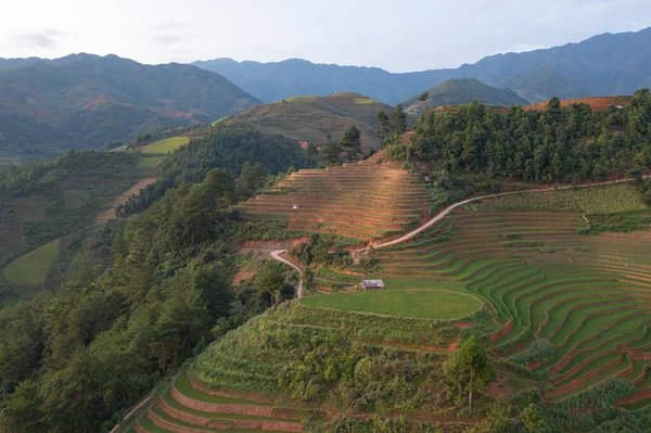 stock image Aerial top view of fresh paddy rice terraces, green agricultural fields in countryside or rural area of Mu Cang Chai, mountain hills valley in Asia, Vietnam. Nature landscape background.