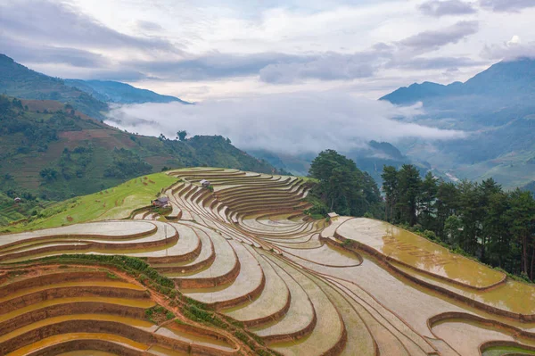 stock image Aerial top view of fresh paddy rice terraces, green agricultural fields in countryside or rural area of Mu Cang Chai, mountain hills valley in Asia, Vietnam. Nature landscape background.