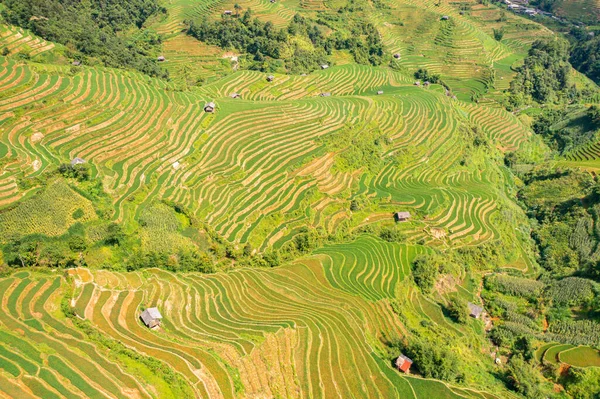 stock image Aerial top view of fresh paddy rice terraces, green agricultural fields in countryside or rural area of Mu Cang Chai, mountain hills valley in Asia, Vietnam. Nature landscape background.