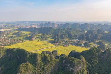 Taze çeltik pirincinin havadan görünüşü, Asya ve Vietnam 'da Ninh Binh' in kırsal kesiminde dağ tepeleri vadisi olan yeşil tarım alanları. Doğa manzarası arka planı.