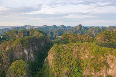 Taze çeltik pirincinin havadan görünüşü, Asya ve Vietnam 'da Ninh Binh' in kırsal kesiminde dağ tepeleri vadisi olan yeşil tarım alanları. Doğa manzarası arka planı.