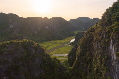 Taze çeltik pirincinin havadan görünüşü, Asya ve Vietnam 'da Ninh Binh' in kırsal kesiminde dağ tepeleri vadisi olan yeşil tarım alanları. Doğa manzarası arka planı.