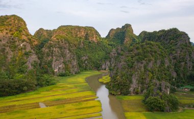 Taze çeltik pirinç ve göl nehrinin havadan görünüşü, Asya ve Vietnam 'daki Ninh Binh kırsalında dağ tepeleri vadisi olan yeşil tarım alanları. Doğa manzarası arka planı.