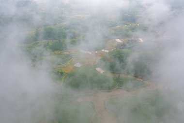 Yeşil taze çay veya çilek çiftliğinin havadan görünüşü, Asya 'da dağ tepeleri olan tarımsal bitki tarlaları. Kırsal bölge. Çiftlik dokusu. Doğa manzarası arka planı, Long Coc, Vietnam.