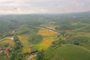 Yeşil taze çay veya çilek çiftliğinin havadan görünüşü, Asya 'da dağ tepeleri olan tarımsal bitki tarlaları. Kırsal bölge. Çiftlik dokusu. Doğa manzarası arka planı, Long Coc, Vietnam.