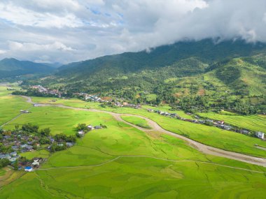 Taze çeltik pirinç teraslarının havadan görünüşü, Mu Cang Chai 'nin kırsal ya da kırsal kesimindeki yeşil tarım alanları, Asya' daki dağ tepeleri vadisi, Vietnam. Doğa manzarası arka planı.