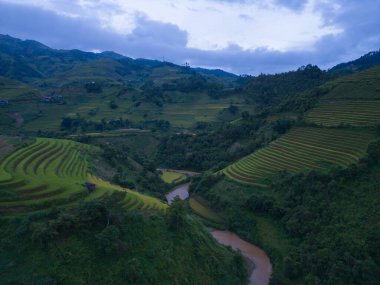 Taze çeltik pirinç teraslarının havadan görünüşü, Mu Cang Chai 'nin kırsal ya da kırsal kesimindeki yeşil tarım alanları, Asya' daki dağ tepeleri vadisi, Vietnam. Doğa manzarası arka planı.