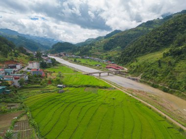 Taze çeltik pirinç teraslarının havadan görünüşü, Mu Cang Chai 'nin kırsal ya da kırsal kesimindeki yeşil tarım alanları, Asya' daki dağ tepeleri vadisi, Vietnam. Doğa manzarası arka planı.
