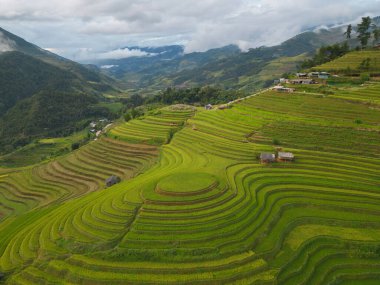 Taze çeltik pirinç teraslarının havadan görünüşü, Mu Cang Chai 'nin kırsal ya da kırsal kesimindeki yeşil tarım alanları, Asya' daki dağ tepeleri vadisi, Vietnam. Doğa manzarası arka planı.