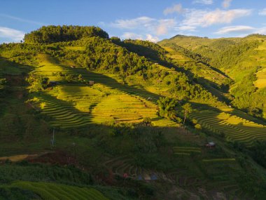 Taze çeltik pirinç teraslarının havadan görünüşü, Mu Cang Chai 'nin kırsal ya da kırsal kesimindeki yeşil tarım alanları, Asya' daki dağ tepeleri vadisi, Vietnam. Doğa manzarası arka planı.