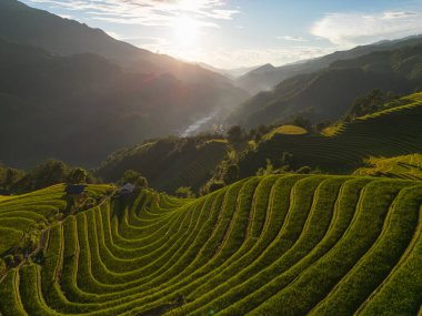 Taze çeltik pirinç teraslarının havadan görünüşü, Mu Cang Chai 'nin kırsal ya da kırsal kesimindeki yeşil tarım alanları, Asya' daki dağ tepeleri vadisi, Vietnam. Doğa manzarası arka planı.