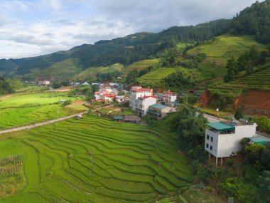 Taze çeltik pirinç teraslarının havadan görünüşü, Mu Cang Chai 'nin kırsal ya da kırsal kesimindeki yeşil tarım alanları, Asya' daki dağ tepeleri vadisi, Vietnam. Doğa manzarası arka planı.